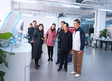 河北省發(fā)改委一行蒞臨博科集團參觀調(diào)研